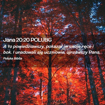 Picture 02 - Jana 20:20 POLUBG - A to powiedziawszy, pokazał im swoje ręce i - Bible Verse Picture