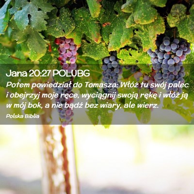 Picture 02 - Jana 20:27 POLUBG - Potem powiedział do Tomasza: Włóż tu swój - Bible Verse Picture