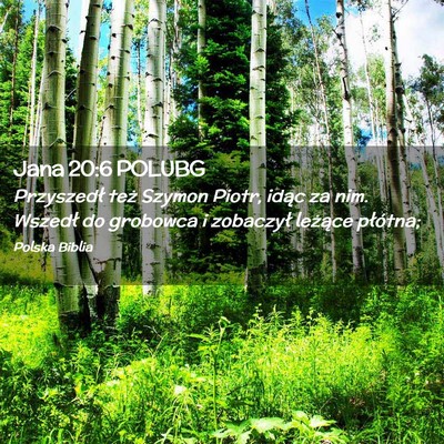 Picture 02 - Jana 20:6 POLUBG - Przyszedł też Szymon Piotr, idąc za nim. - Bible Verse Picture