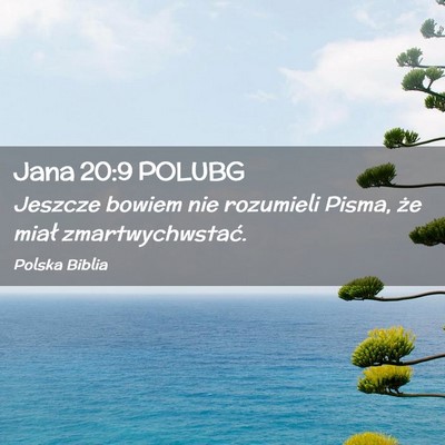 Picture 02 - Jana 20:9 POLUBG - Jeszcze bowiem nie rozumieli Pisma, że miał - Bible Verse Picture
