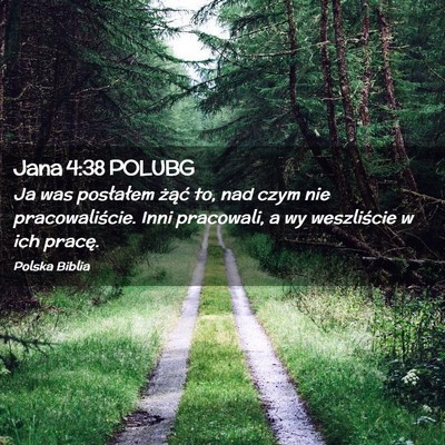 Picture 02 - Jana 4:38 POLUBG - Ja was posłałem żąć to, nad czym nie - Bible Verse Picture