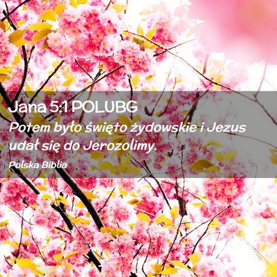 Picture 02 - Jana 5:1 POLUBG - Potem było święto żydowskie i Jezus udał - Bible Verse Picture