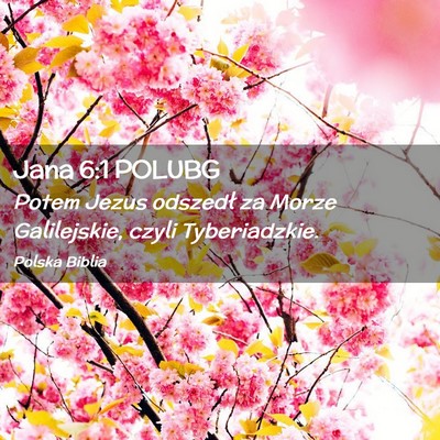 Picture 02 - Jana 6:1 POLUBG - Potem Jezus odszedł za Morze Galilejskie, czyli - Bible Verse Picture
