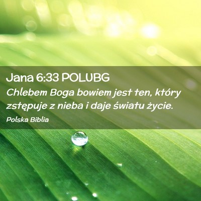 Picture 02 - Jana 6:33 POLUBG - Chlebem Boga bowiem jest ten, który zstępuje z - Bible Verse Picture