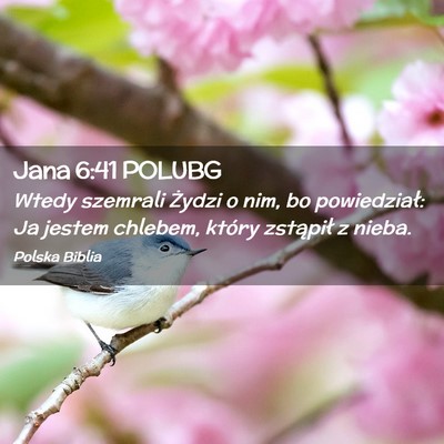 Picture 02 - Jana 6:41 POLUBG - Wtedy szemrali Żydzi o nim, bo powiedział: Ja - Bible Verse Picture