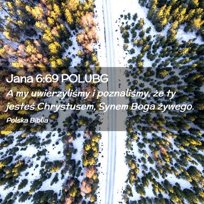 Picture 02 - Jana 6:69 POLUBG - A my uwierzyliśmy i poznaliśmy, że ty jesteś - Bible Verse Picture