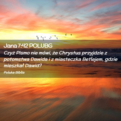 Picture 02 - Jana 7:42 POLUBG - Czyż Pismo nie mówi, że Chrystus przyjdzie z - Bible Verse Picture