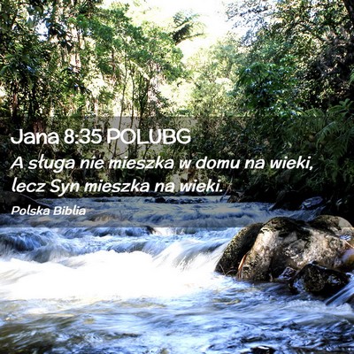 Picture 02 - Jana 8:35 POLUBG - A sługa nie mieszka w domu na wieki, lecz Syn - Bible Verse Picture