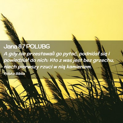 Picture 02 - Jana 8:7 POLUBG - A gdy nie przestawali go pytać, podniósł się - Bible Verse Picture