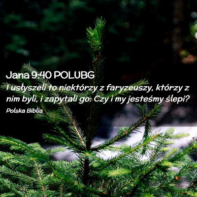Picture 02 - Jana 9:40 POLUBG - I usłyszeli to niektórzy z faryzeuszy, którzy - Bible Verse Picture