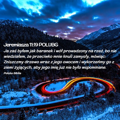 Picture 02 - Jeremiasza 11:19 POLUBG - Ja zaś byłem jak baranek i wół prowadzony na - Bible Verse Picture