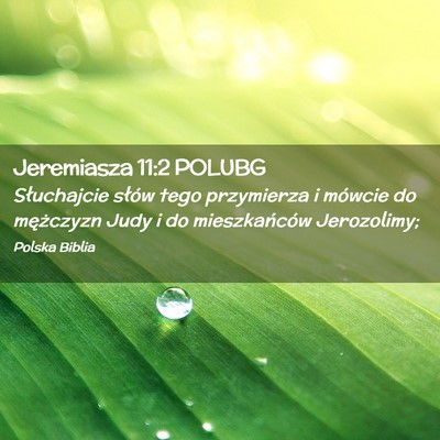 Picture 02 - Jeremiasza 11:2 POLUBG - Słuchajcie słów tego przymierza i mówcie do - Bible Verse Picture