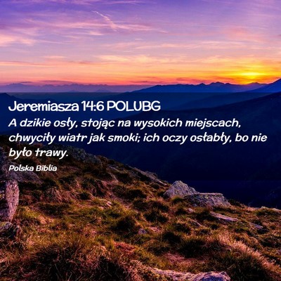 Picture 02 - Jeremiasza 14:6 POLUBG - A dzikie osły, stojąc na wysokich miejscach, - Bible Verse Picture