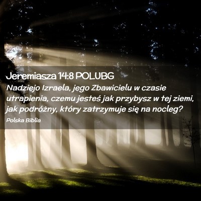 Picture 02 - Jeremiasza 14:8 POLUBG - Nadziejo Izraela, jego Zbawicielu w czasie - Bible Verse Picture