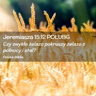 Picture 02 - Jeremiasza 15:12 POLUBG - Czy zwykłe żelazo pokruszy żelazo z północy - Bible Verse Picture