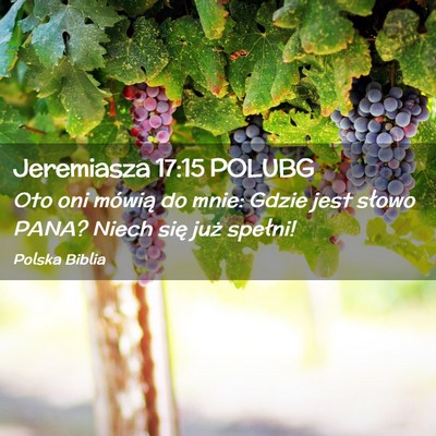 Picture 02 - Jeremiasza 17:15 POLUBG - Oto oni mówią do mnie: Gdzie jest słowo PANA? - Bible Verse Picture