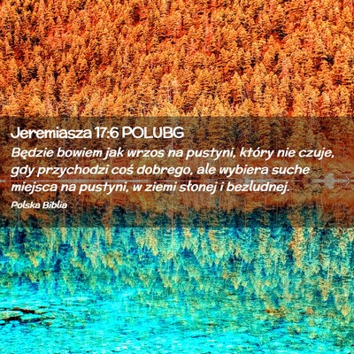 Picture 02 - Jeremiasza 17:6 POLUBG - Będzie bowiem jak wrzos na pustyni, który nie - Bible Verse Picture