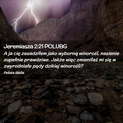 Picture 02 - Jeremiasza 2:21 POLUBG - A ja cię zasadziłem jako wyborną winorośl, - Bible Verse Picture