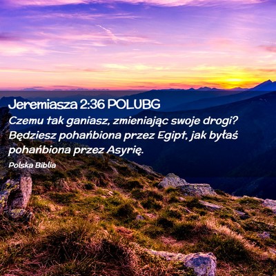 Picture 02 - Jeremiasza 2:36 POLUBG - Czemu tak ganiasz, zmieniając swoje drogi? - Bible Verse Picture