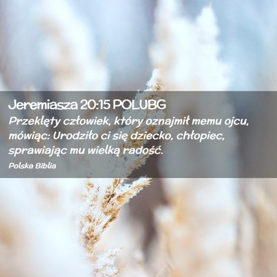 Picture 02 - Jeremiasza 20:15 POLUBG - Przeklęty człowiek, który oznajmił memu ojcu, - Bible Verse Picture