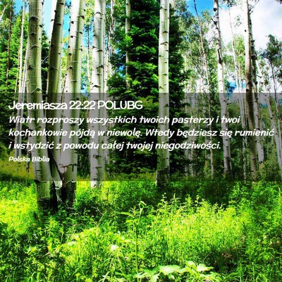 Picture 02 - Jeremiasza 22:22 POLUBG - Wiatr rozproszy wszystkich twoich pasterzy i twoi - Bible Verse Picture