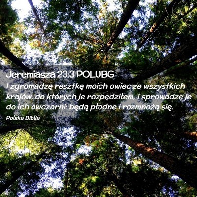 Picture 02 - Jeremiasza 23:3 POLUBG - I zgromadzę resztkę moich owiec ze wszystkich - Bible Verse Picture