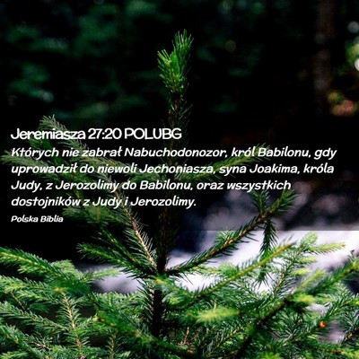 Picture 02 - Jeremiasza 27:20 POLUBG - Których nie zabrał Nabuchodonozor, król - Bible Verse Picture