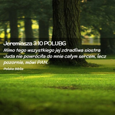 Picture 02 - Jeremiasza 3:10 POLUBG - Mimo tego wszystkiego jej zdradliwa siostra Juda - Bible Verse Picture