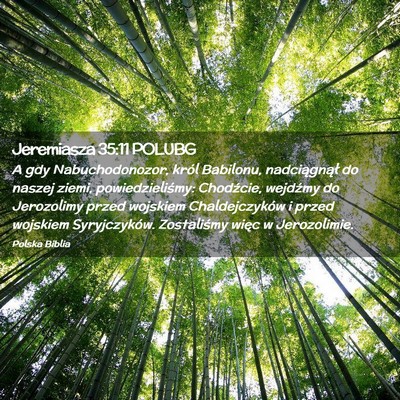 Picture 02 - Jeremiasza 35:11 POLUBG - A gdy Nabuchodonozor, król Babilonu, - Bible Verse Picture