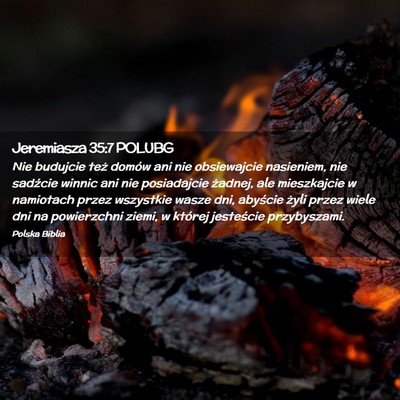 Picture 02 - Jeremiasza 35:7 POLUBG - Nie budujcie też domów ani nie obsiewajcie - Bible Verse Picture
