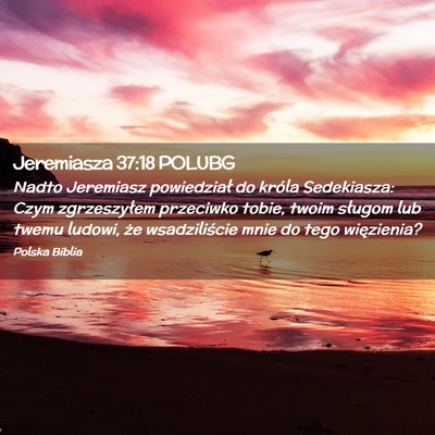 Picture 02 - Jeremiasza 37:18 POLUBG - Nadto Jeremiasz powiedział do króla Sedekiasza: - Bible Verse Picture