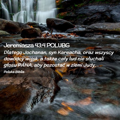 Picture 02 - Jeremiasza 43:4 POLUBG - Dlatego Jochanan, syn Kareacha, oraz wszyscy - Bible Verse Picture
