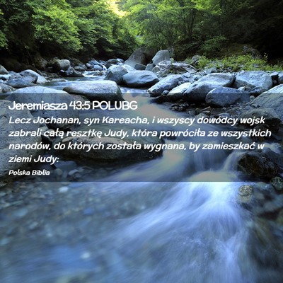Picture 02 - Jeremiasza 43:5 POLUBG - Lecz Jochanan, syn Kareacha, i wszyscy dowódcy - Bible Verse Picture