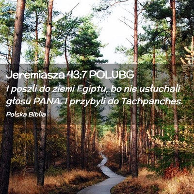 Picture 02 - Jeremiasza 43:7 POLUBG - I poszli do ziemi Egiptu, bo nie usłuchali - Bible Verse Picture