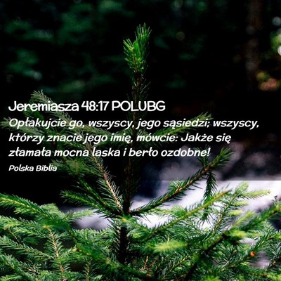 Picture 02 - Jeremiasza 48:17 POLUBG - Opłakujcie go, wszyscy, jego sąsiedzi; wszyscy, - Bible Verse Picture