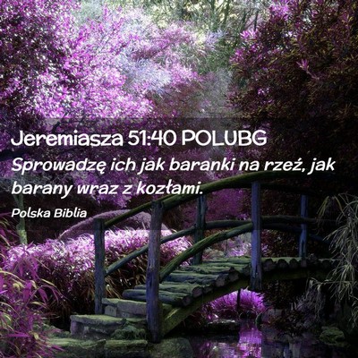 Picture 02 - Jeremiasza 51:40 POLUBG - Sprowadzę ich jak baranki na rzeź, jak barany - Bible Verse Picture