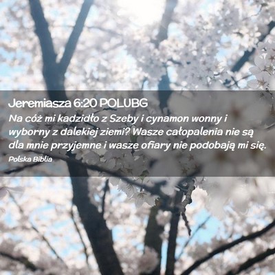 Picture 02 - Jeremiasza 6:20 POLUBG - Na cóż mi kadzidło z Szeby i cynamon wonny i - Bible Verse Picture
