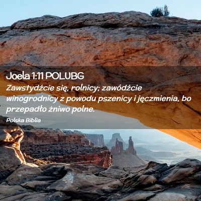 Picture 02 - Joela 1:11 POLUBG - Zawstydźcie się, rolnicy; zawódźcie - Bible Verse Picture