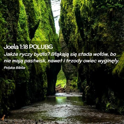Picture 02 - Joela 1:18 POLUBG - Jakże ryczy bydło? Błąkają się stada - Bible Verse Picture
