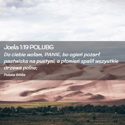 Picture 02 - Joela 1:19 POLUBG - Do ciebie wołam, PANIE, bo ogień pożarł - Bible Verse Picture