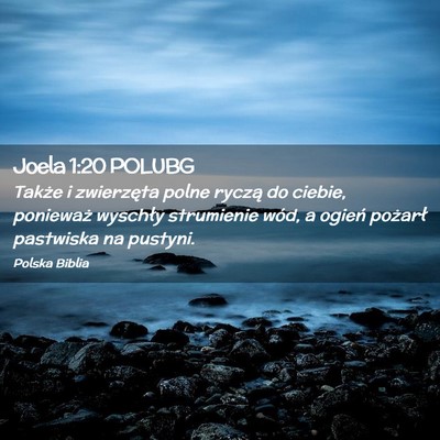 Picture 02 - Joela 1:20 POLUBG - Także i zwierzęta polne ryczą do ciebie, - Bible Verse Picture