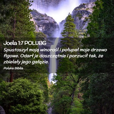 Picture 02 - Joela 1:7 POLUBG - Spustoszył moją winorośl i połupał moje - Bible Verse Picture