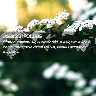 Picture 02 - Joela 2:31 POLUBG - Słońce zamieni się w ciemność, a księżyc w - Bible Verse Picture