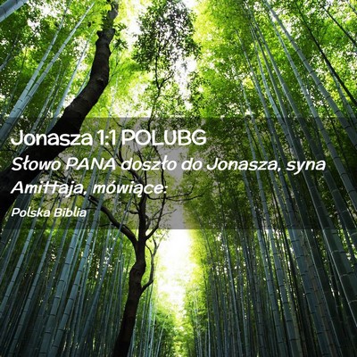 Picture 02 - Jonasza 1:1 POLUBG - Słowo PANA doszło do Jonasza, syna Amittaja, - Bible Verse Picture