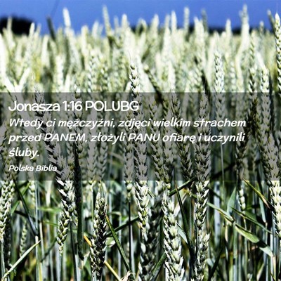 Picture 02 - Jonasza 1:16 POLUBG - Wtedy ci mężczyźni, zdjęci wielkim strachem - Bible Verse Picture