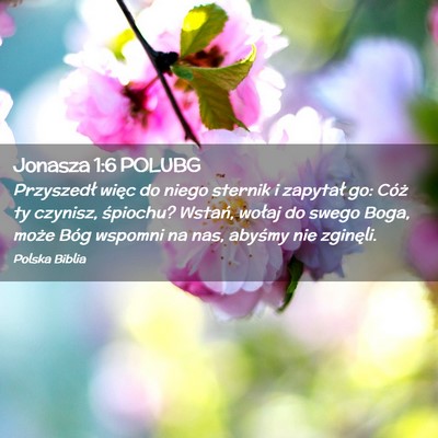 Picture 02 - Jonasza 1:6 POLUBG - Przyszedł więc do niego sternik i zapytał go: - Bible Verse Picture