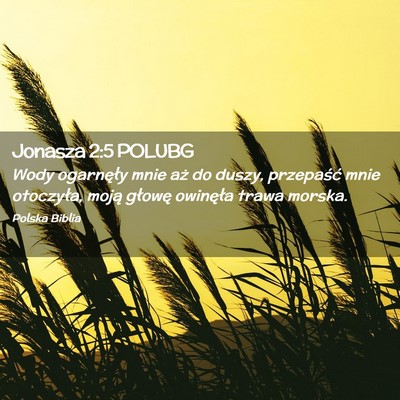 Picture 02 - Jonasza 2:5 POLUBG - Wody ogarnęły mnie aż do duszy, przepaść - Bible Verse Picture