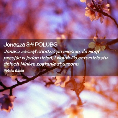 Picture 02 - Jonasza 3:4 POLUBG - Jonasz zaczął chodzić po mieście, ile mógł - Bible Verse Picture