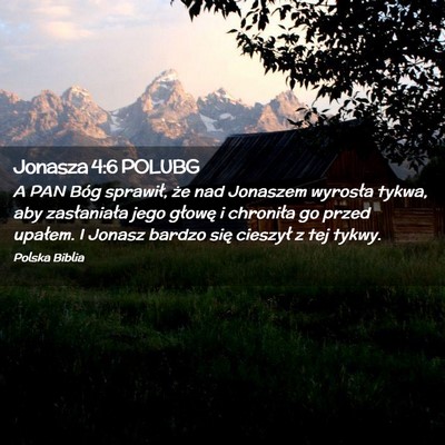 Picture 02 - Jonasza 4:6 POLUBG - A PAN Bóg sprawił, że nad Jonaszem wyrosła - Bible Verse Picture