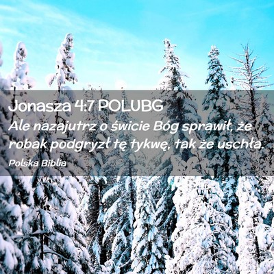Picture 02 - Jonasza 4:7 POLUBG - Ale nazajutrz o świcie Bóg sprawił, że robak - Bible Verse Picture